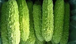 吃瓜视频南宁,揭秘城市生活百态