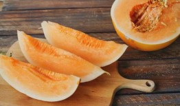 蜜瓜能不能榨汁吃呢视频,美味与营养的双重享受